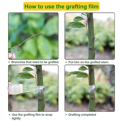 Grafting Tool