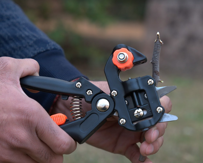 Grafting Tool